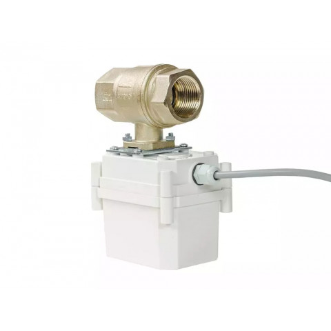 ШЭП PROFESSIONAL 220V ENOLGAS 1” (11022043)